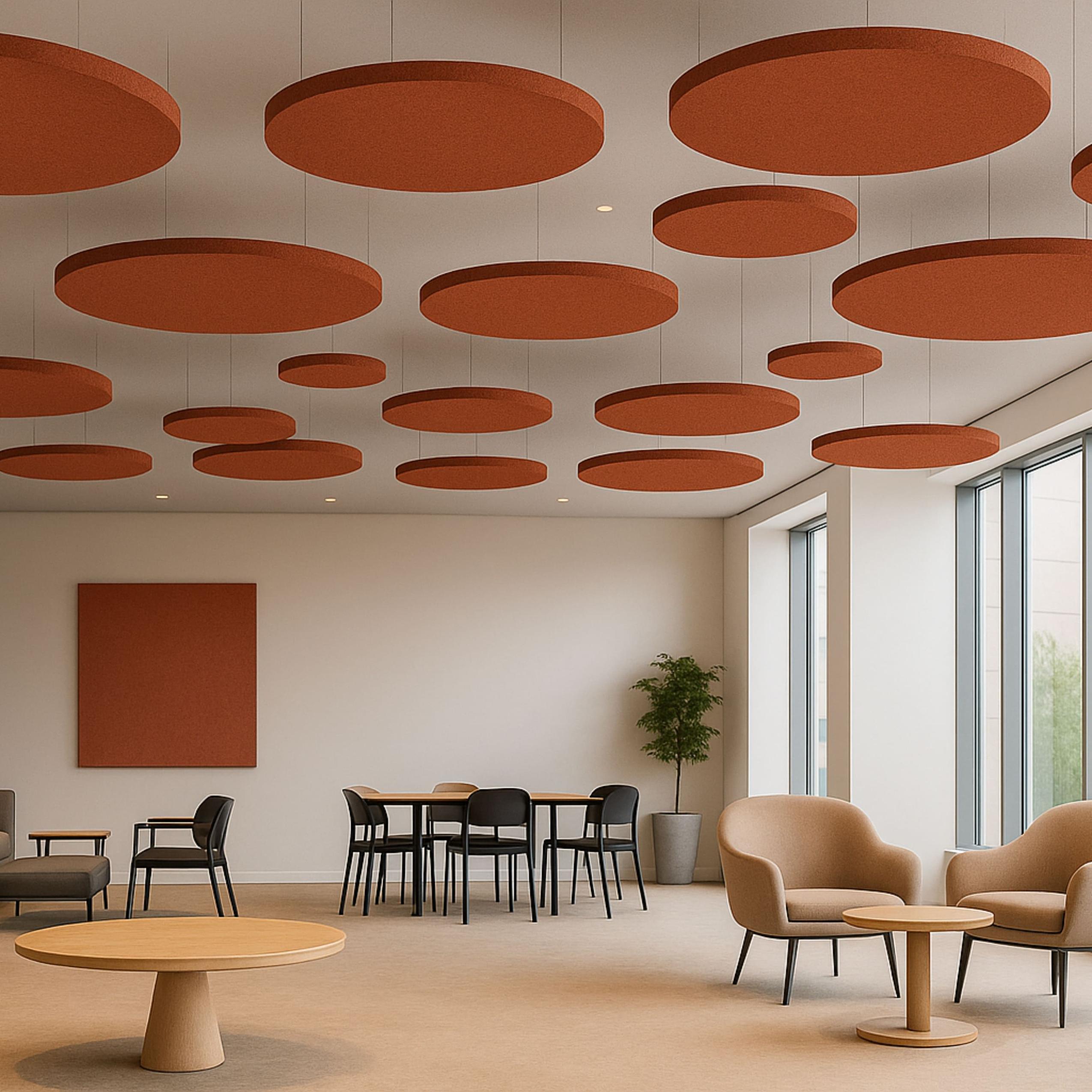 Educational institutions: acoustic ceiling clouds in Agra